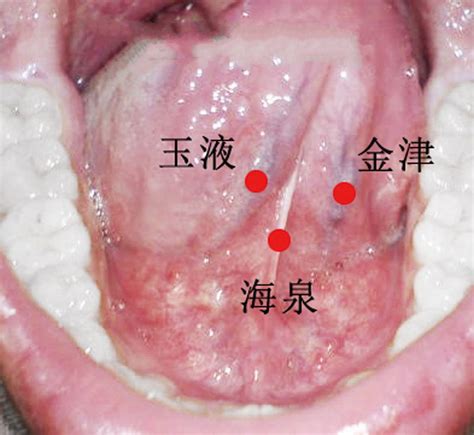 穴穴形狀|女陰